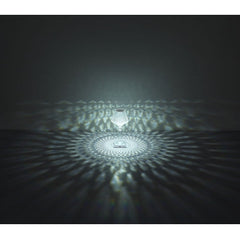Rose Diamond Table Lamp- USB Charging & Touchable