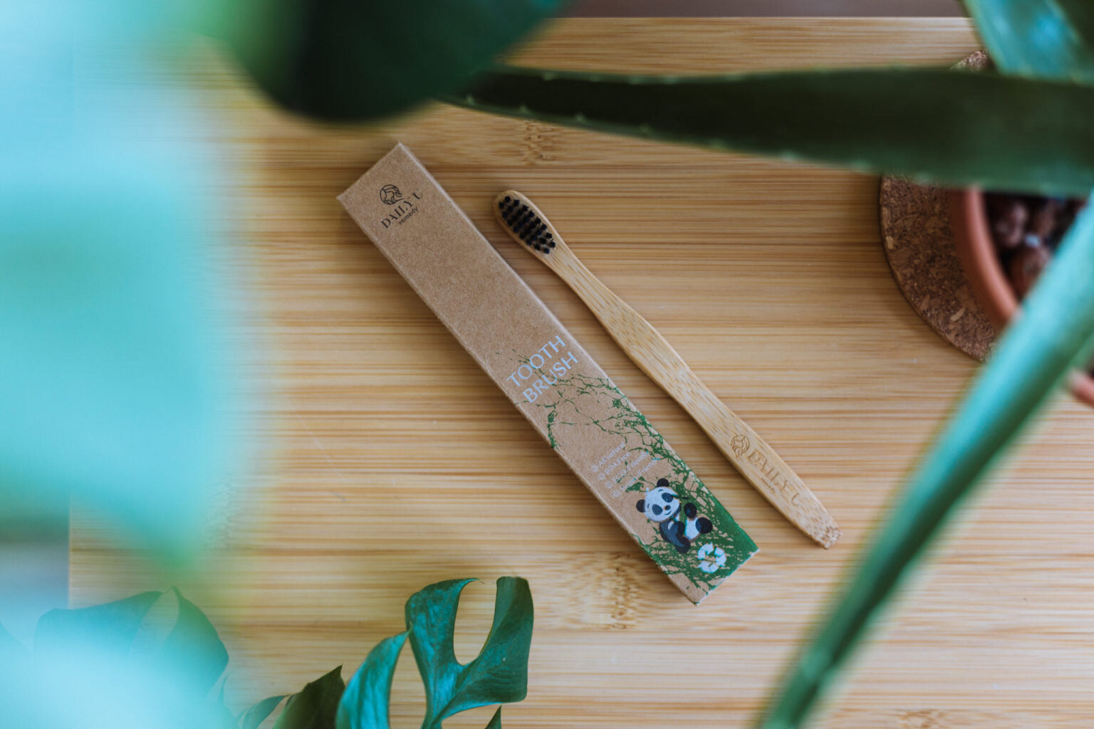 Imported Bamboo Toothbrush | pack of 12 - Armaa Store