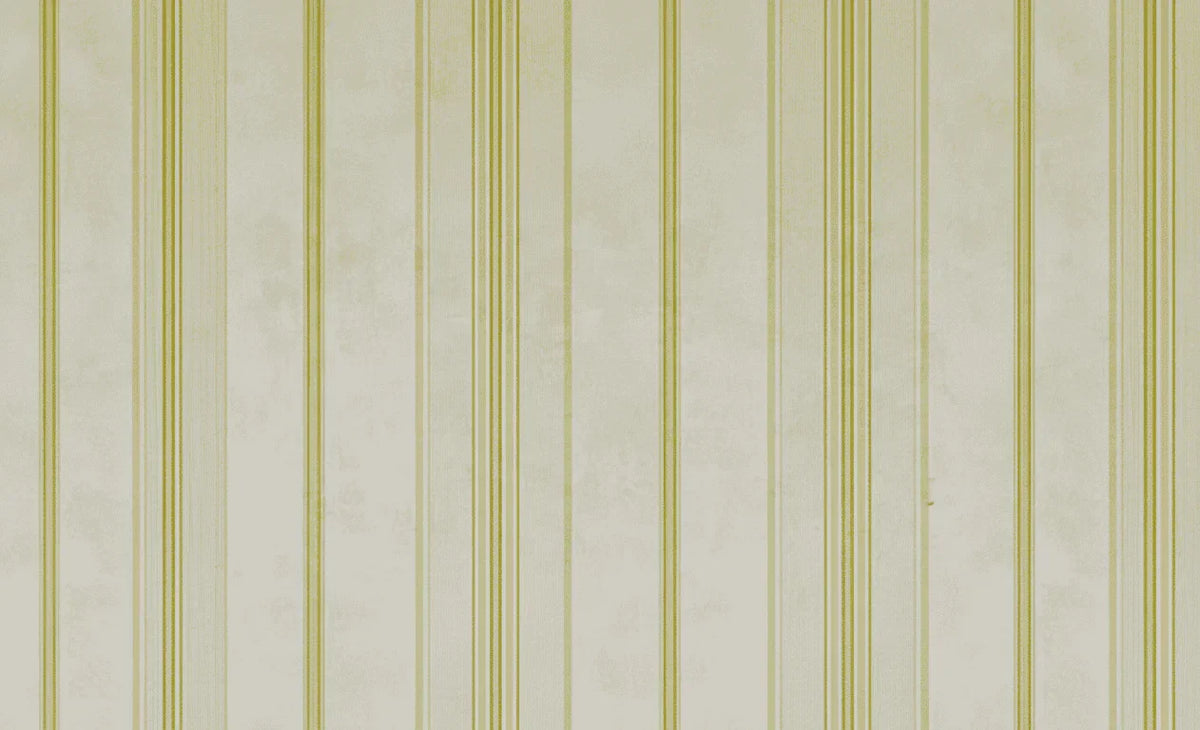 Regency Printed Designs Wallpaper for Wall - Premium Patterned Wall Covering