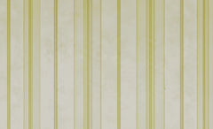 Regency Printed Designs Wallpaper for Wall - Premium Patterned Wall Covering
